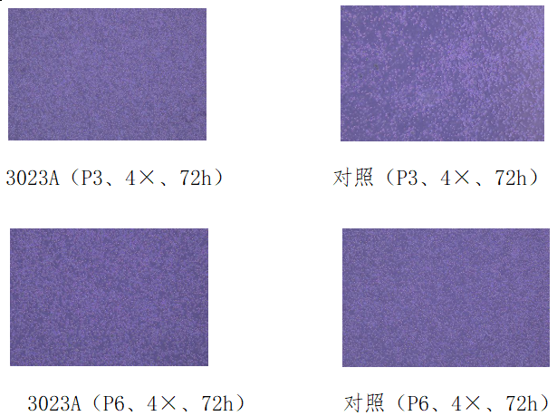 1725500242123660.png image.png