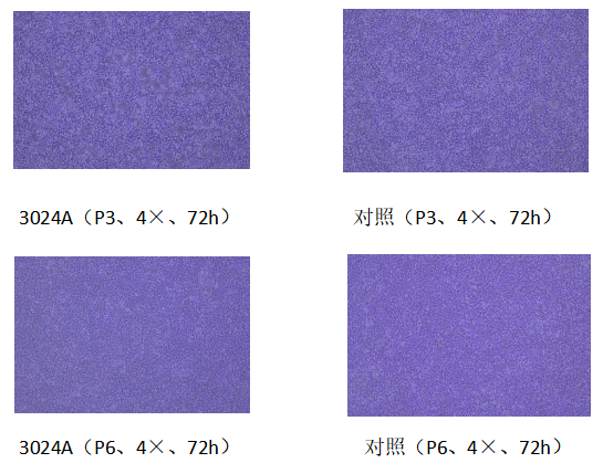 1725500520787180.png 58ccc79fb7f2d95af245c384f7444f4d_767c4386-084a-4e19-a2f5-920ca459dca4_t=1721099931319.png